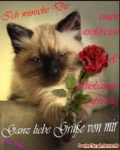 Ich wünsche Dir einen streßfreien und erholsamen Freitag! Ganz liebe Grüße von mir.