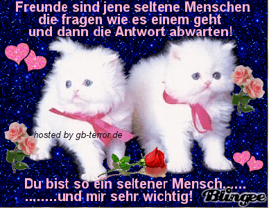 Freund sind jene seltene Menschen die fragen wie es einem geht und dann die <br />
Antwort abwaren! Du bist so ein seltener Mensch, und mir sehr wichtig!