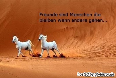 Freunde sind Menschen die bleiben wenn andere gehen.
