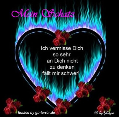 Mein Schatz. Ich vermisse Dich so sehr, an Dich nicht zu denken fällt mir schwer!