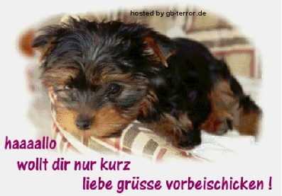 Hallo wollte Dir nur kurz liebe Grüsse vorbei schicken!