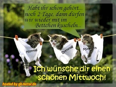 Montag, Dienstag, Mittwoch! Habt ihr  schon gehört, noch 2 Tage dann dürfen<br />
 wir wieder mit im Bett kuscheln. Ich wünsche dir einen schönen Mittwoch!