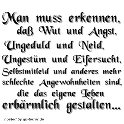 Mann muss erkennen, daß Wut und Angst, Ungeduld und Neid, Ungunst und<br />
 Eifersucht, Selbstmitleid und anderes mehr schlechte Angewohnheiten sind, die<br />
 das eigene Leben erbärmlich gestalten.