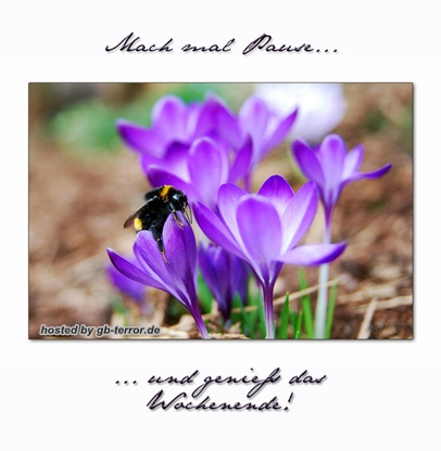 Mach mal Pause, und geniesse das Wochenende!