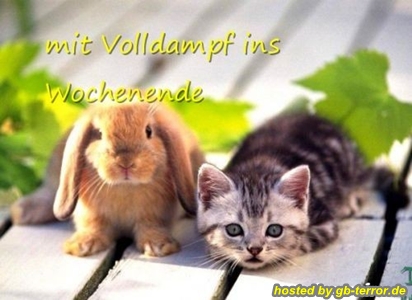 Mit Volldampf ins Wochenende.