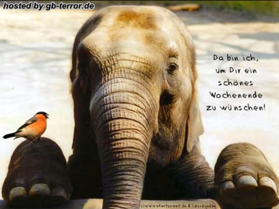 Da bin ich, um Dir ein schönes Wochenende zu wünschen!