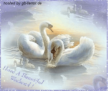 Have a beautiful weekend!