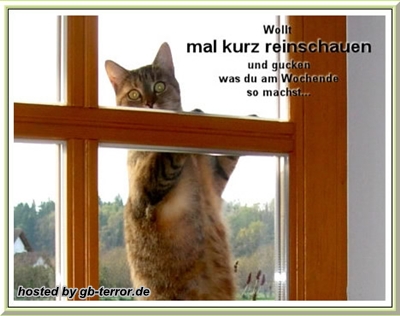 Wollt mal kurz reinschauen und gucken was du am Wochenende so machst.