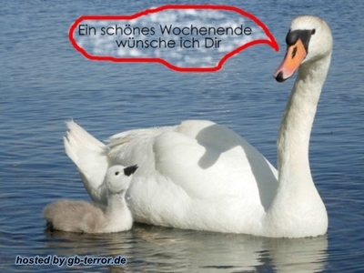 Ein schönes Wochenende wünsche ich dir.