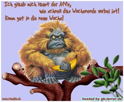 Ich glaube mich laust der Affe, wie schnell das Wochenende vorbeist! Komm gut in <br />
die neue Woche!