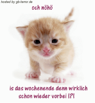 Oh nö, is das Wochenende den wirklich schon wieder vorbei!?