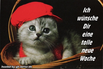 Guten Morgen, ich wünsche Dir einen schönen Wochenstart.<br />
Ich wünsche Dir eine tolle neue Woche, hallo ich wünsche Dir einen guten Start in die neue Woche.<br />
Montag, schönen Start in die neue Woche.<br />
In diesem Sinne wünsche ich dir einen schönen Montag und einen mega tollen Wochenstart.<br />
Lass den Wochenbeginn ganz langsam und gemütlich angehen!<br />
Leider ist das Wochenende schon wieder vorbei, aber es dauert ja nicht mehr lange bis zum nächsten.<br />
Herzliche Grüße zum Wochenbeginn!