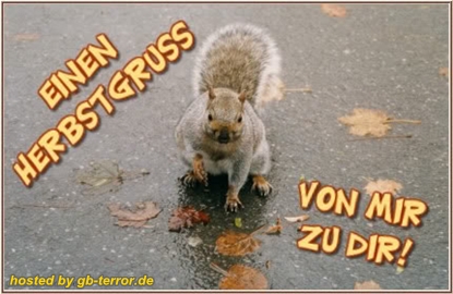 Einen Herbstgruß von mir zu dir!