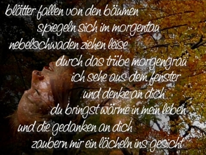 Blätter fallen von den Bäumen, spiegeln sich im Morgentau.<br />
Nebelschwaden ziehen leise, durch das trübe Morgengrau.<br />
Ich sehe aus dem Fenster und denke an Dich. Du bringst Wärme in mein Leben<br />
und die Gedanken an Dich zaubern mir ein Lächeln ins Gesicht.