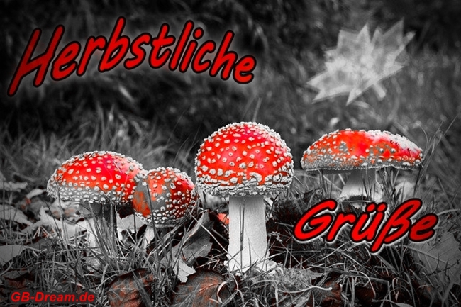Herbstliche Grüße. Ich wünsche Dir einen schönen Herbstanfang.
