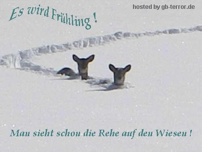 Es wird Frühling! Man sieht schon die Rehe auf den Wiesen!
