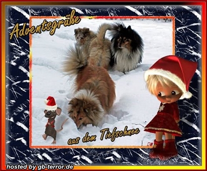 Dritte Adventsgrüße aus dem tiefen Schnee.