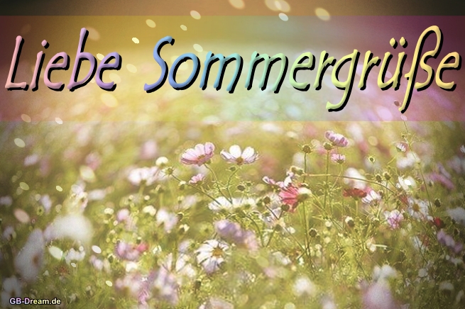 Sommer Blumenwiese