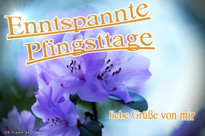 Entspannte Pfingsttage, liebe Grüße von mir!