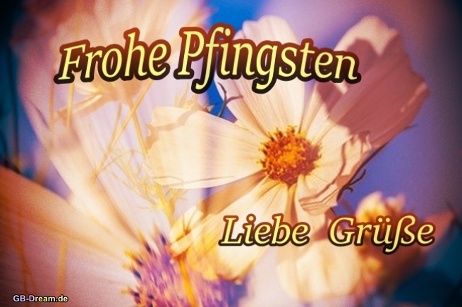 Blumengrüsse zu Pfingsten