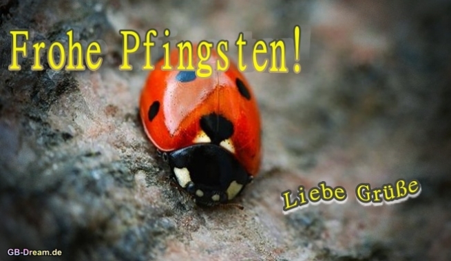 Frohe Pfingsten liebe Grüße