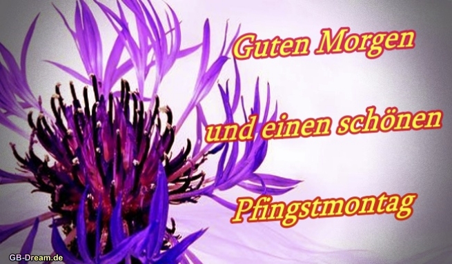 Guten Morgen und einen schönen Pfingstmontag !