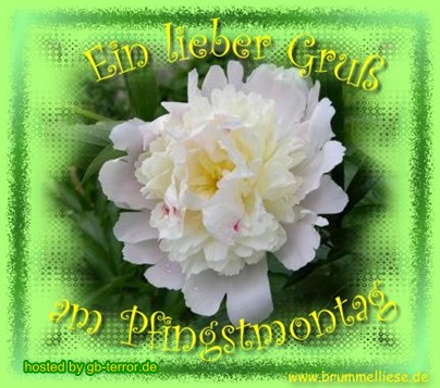 Ein lieber Gruß am Pfingstmontag.