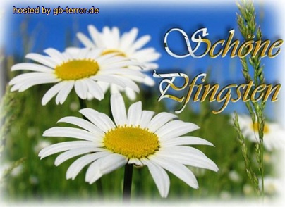 Schöne Pfingsten.
