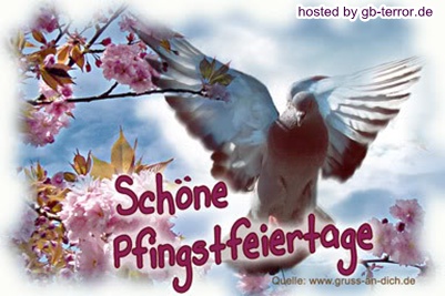 Schöne Pfingstfeiertage.