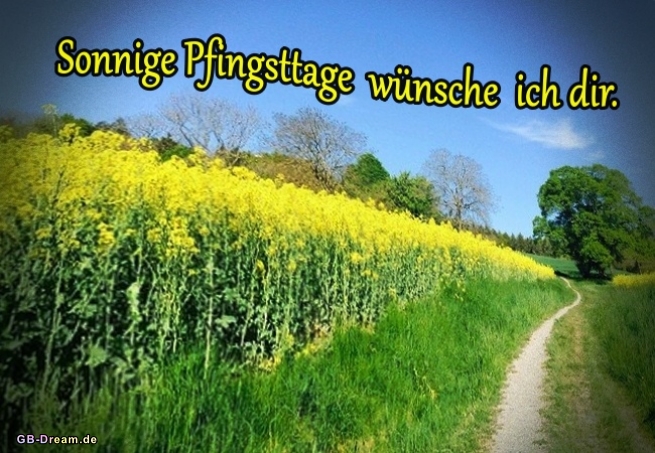 Sonnige Pfingsttage wünsche ich Dir.