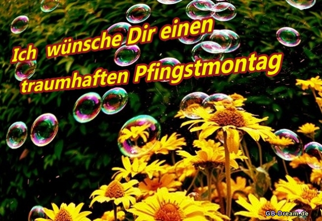 Ich wünsche Die einen traumhaften Pfingstmontag.