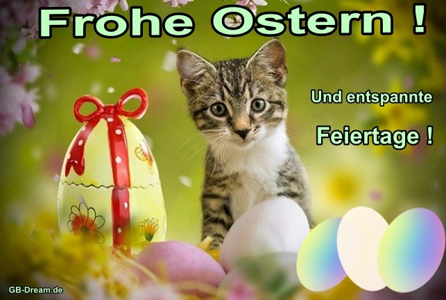 Frohe Ostern und entspannte Feiertage !<br />
Ostern Spruch Bild mit Katze.