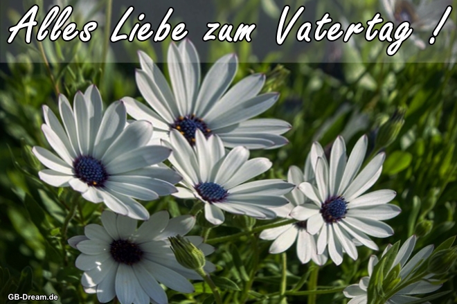 Blumen Vatertags Grüße