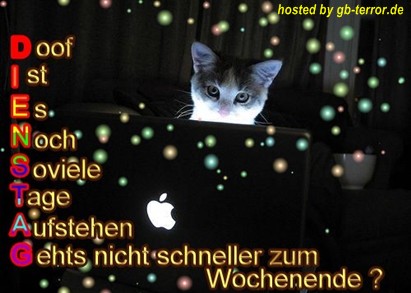 Dienstag Gaestebuchbild