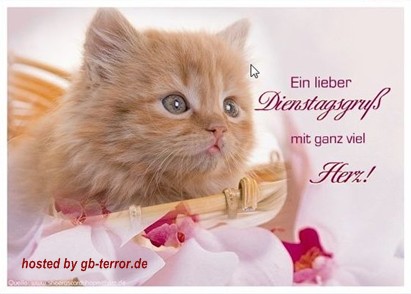 Dienstag Gaestebuchbild