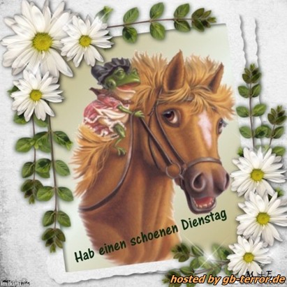 Dienstag Gaestebuchbild