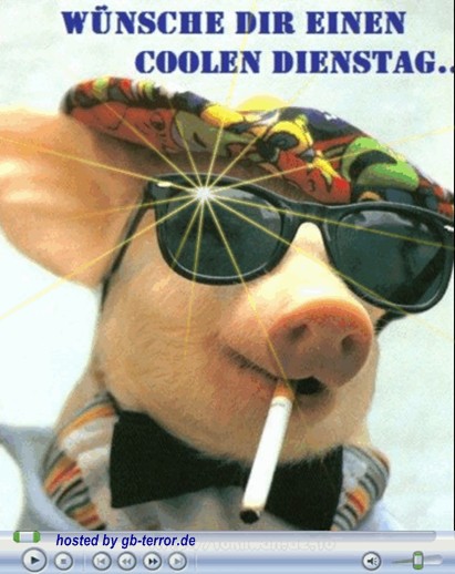 Dienstag Gaestebuchbild