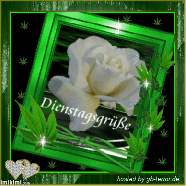 Dienstag Gaestebuchbild