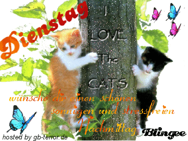 Dienstag Gaestebuchbild