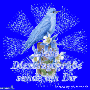 Dienstag Gaestebuchbild