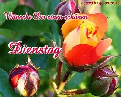 Dienstag GB-Pic