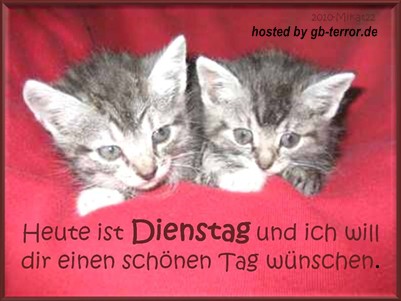 Dienstag GB