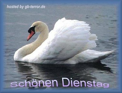 Dienstag GB Bild