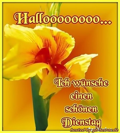 Gaestebuchbild Dienstag