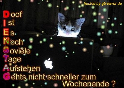 Gaestebuchbild Dienstag