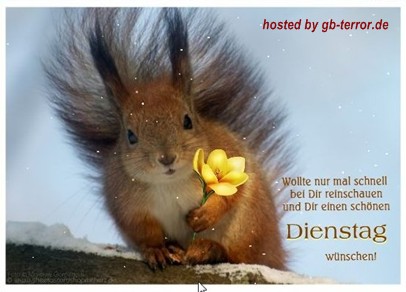 Gaestebuchbild Dienstag