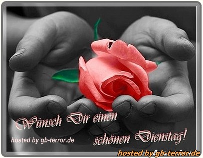 Gaestebuchbild Dienstag