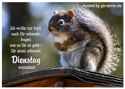 Gaestebuchbild Dienstag