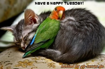 Gaestebuchbild Dienstag