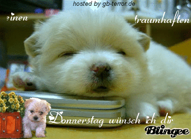 Donnerstag GB Eintrag